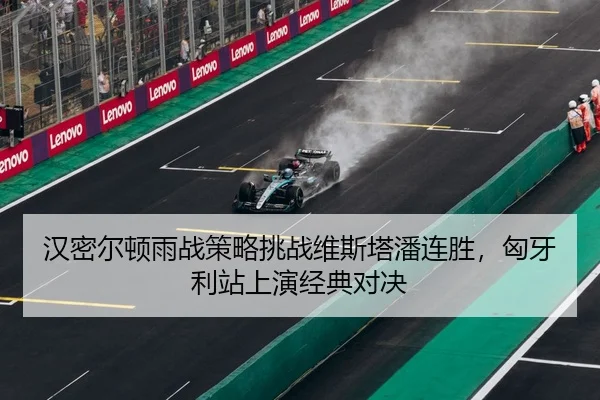 han-mi-er-dun-yu-zhan-ce-lve-tiao-zhan-wei-si-ta-pan-lian-sheng-xiong-ya-li-zhan-shang-yan-jing-dian-dui-jue-2-922.jpg