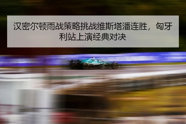 han-mi-er-dun-yu-zhan-ce-lve-tiao-zhan-wei-si-ta-pan-lian-sheng-xiong-ya-li-zhan-shang-yan-jing-dian-dui-jue-3-559.jpg