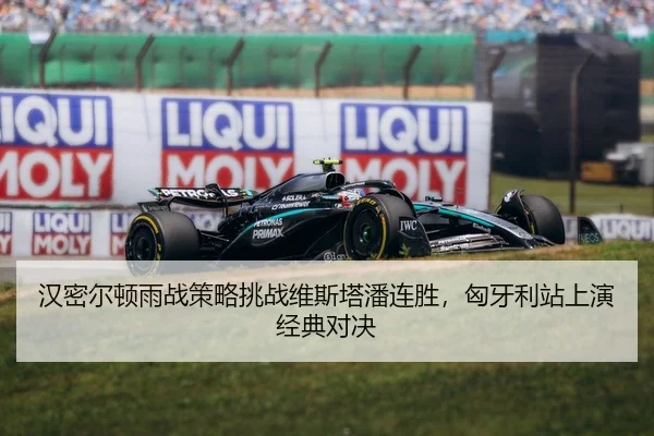 汉密尔顿雨战策略挑战维斯塔潘连胜，匈牙利站上演经典对决
