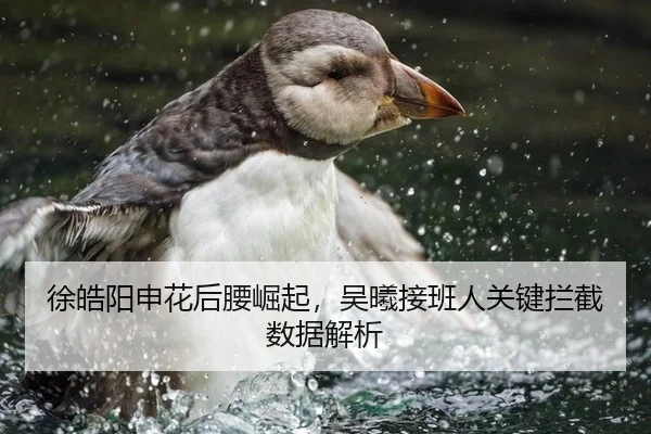 徐皓阳申花后腰崛起，吴曦接班人关键拦截数据解析